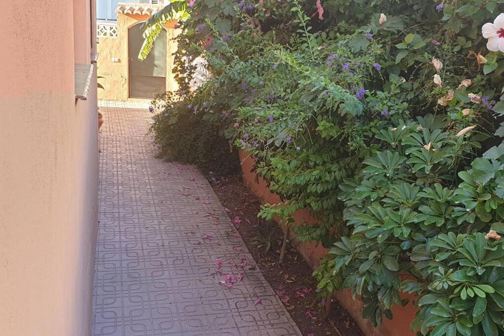Casa Hurtado De Mendoza Pequena อัลมูเญการ์ ภายนอก รูปภาพ